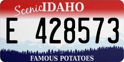 ID license plate E428573