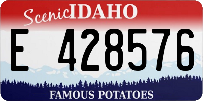 ID license plate E428576