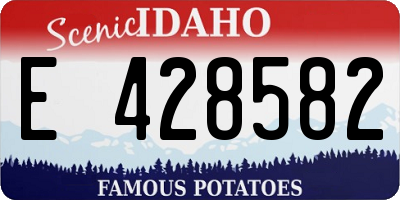 ID license plate E428582