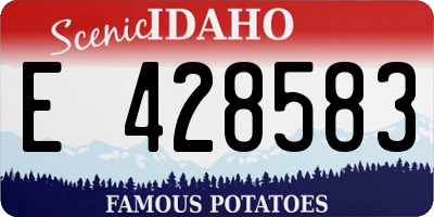 ID license plate E428583