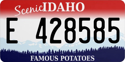 ID license plate E428585