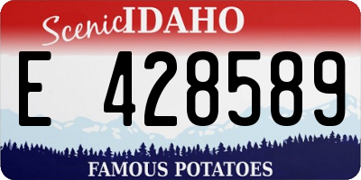 ID license plate E428589
