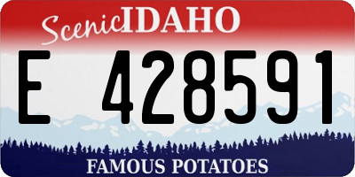 ID license plate E428591