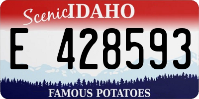 ID license plate E428593