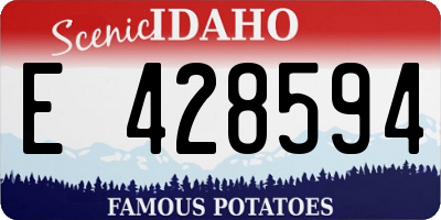ID license plate E428594
