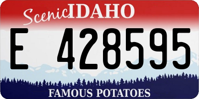 ID license plate E428595