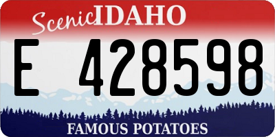 ID license plate E428598