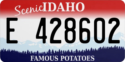 ID license plate E428602