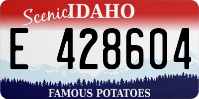 ID license plate E428604
