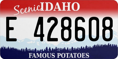 ID license plate E428608