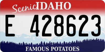 ID license plate E428623