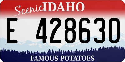 ID license plate E428630