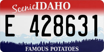 ID license plate E428631