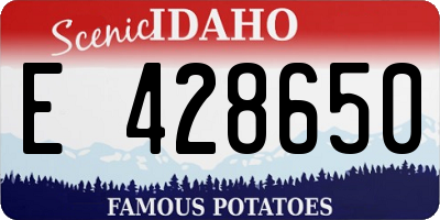 ID license plate E428650