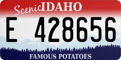 ID license plate E428656