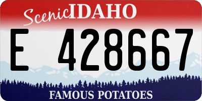 ID license plate E428667