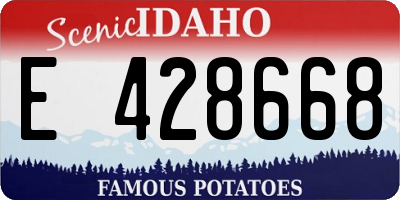 ID license plate E428668