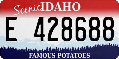 ID license plate E428688