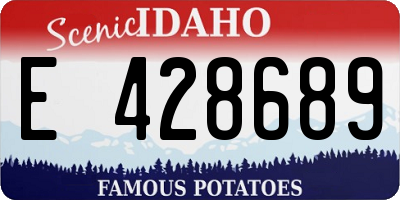 ID license plate E428689
