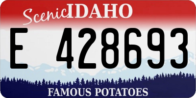 ID license plate E428693
