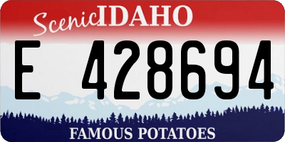 ID license plate E428694