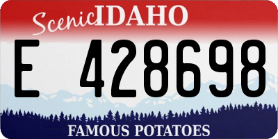 ID license plate E428698