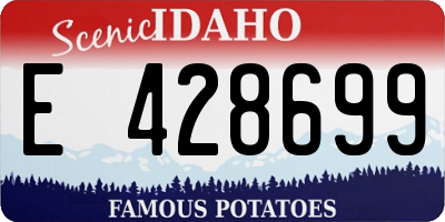 ID license plate E428699