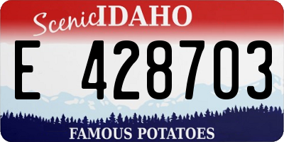 ID license plate E428703