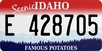 ID license plate E428705