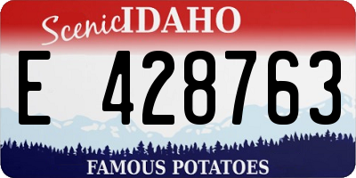 ID license plate E428763