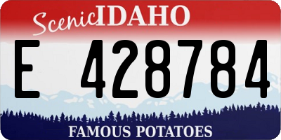 ID license plate E428784