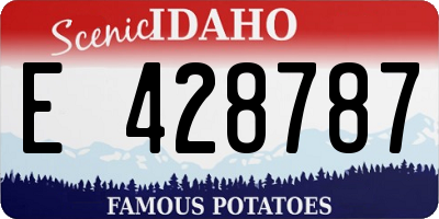 ID license plate E428787