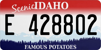 ID license plate E428802
