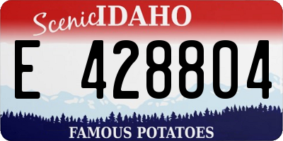 ID license plate E428804