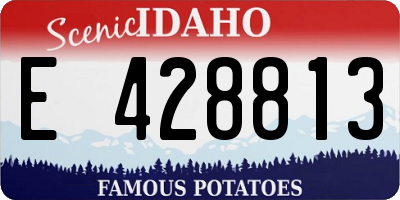 ID license plate E428813