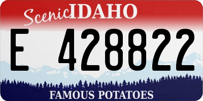 ID license plate E428822