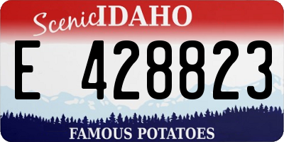 ID license plate E428823