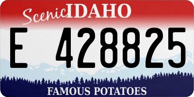 ID license plate E428825