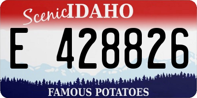 ID license plate E428826