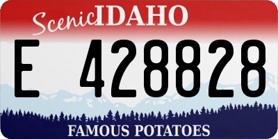 ID license plate E428828