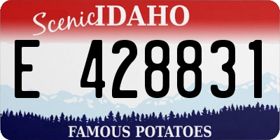 ID license plate E428831