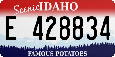 ID license plate E428834