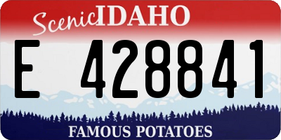 ID license plate E428841