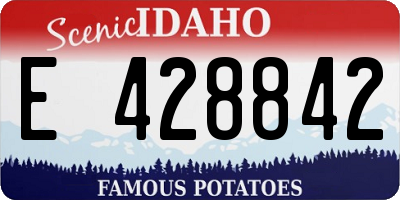 ID license plate E428842