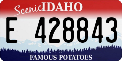 ID license plate E428843