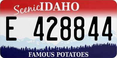 ID license plate E428844