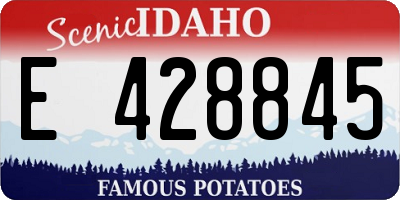 ID license plate E428845