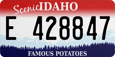 ID license plate E428847