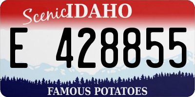 ID license plate E428855