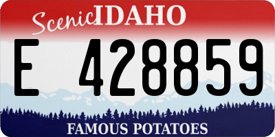 ID license plate E428859